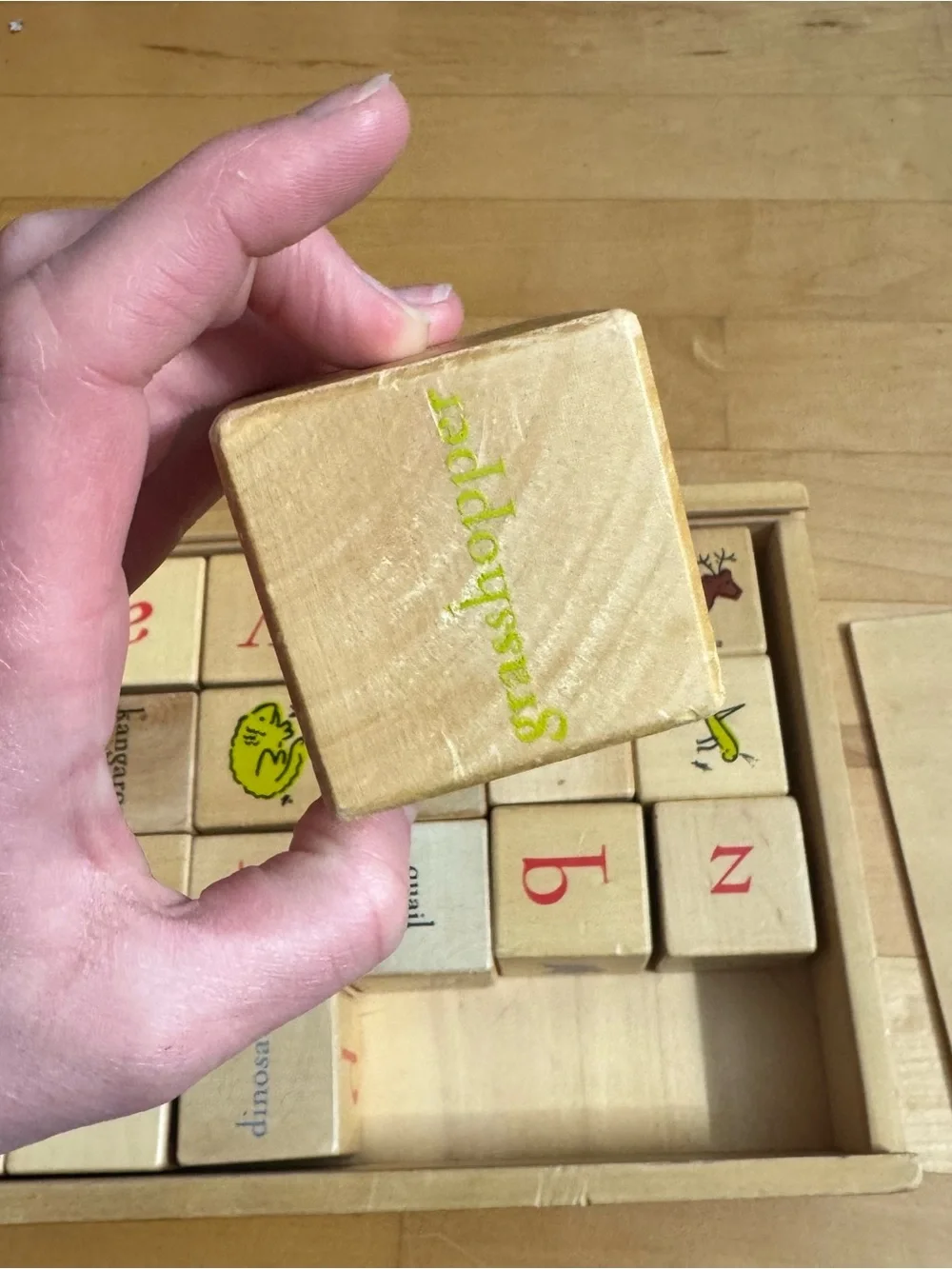 Pottery Barn Kids PBK Learning Alphabet‎ Blocks with storage box Montessori